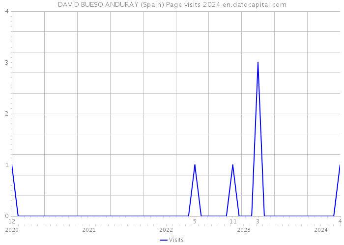 DAVID BUESO ANDURAY (Spain) Page visits 2024 