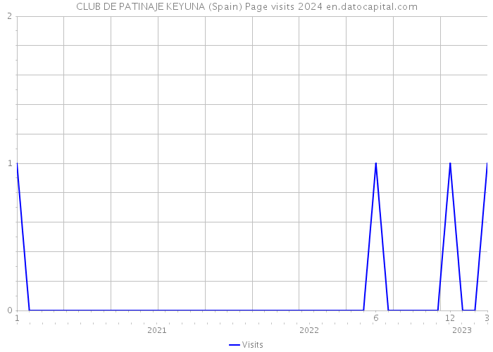 CLUB DE PATINAJE KEYUNA (Spain) Page visits 2024 