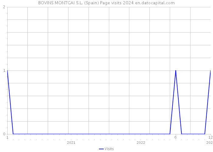 BOVINS MONTGAI S.L. (Spain) Page visits 2024 