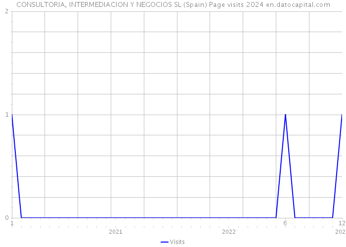 CONSULTORIA, INTERMEDIACION Y NEGOCIOS SL (Spain) Page visits 2024 