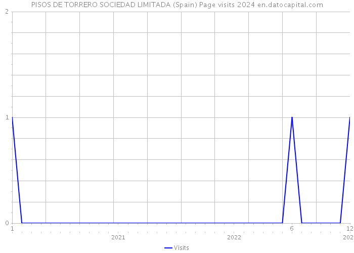 PISOS DE TORRERO SOCIEDAD LIMITADA (Spain) Page visits 2024 