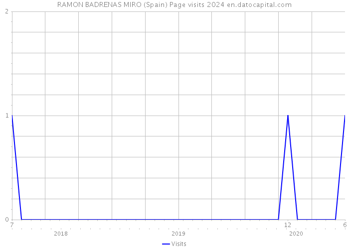 RAMON BADRENAS MIRO (Spain) Page visits 2024 