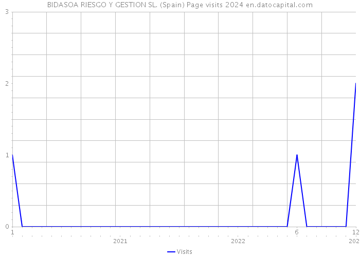 BIDASOA RIESGO Y GESTION SL. (Spain) Page visits 2024 