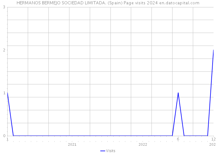 HERMANOS BERMEJO SOCIEDAD LIMITADA. (Spain) Page visits 2024 