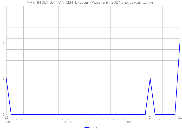 MARTIN SEVILLANO VICENTE (Spain) Page visits 2024 