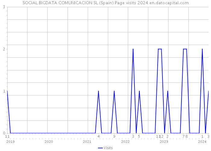SOCIAL BIGDATA COMUNICACION SL (Spain) Page visits 2024 