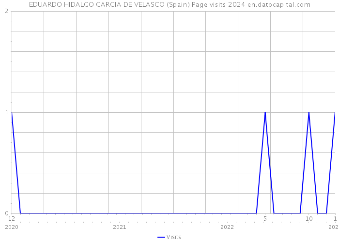 EDUARDO HIDALGO GARCIA DE VELASCO (Spain) Page visits 2024 