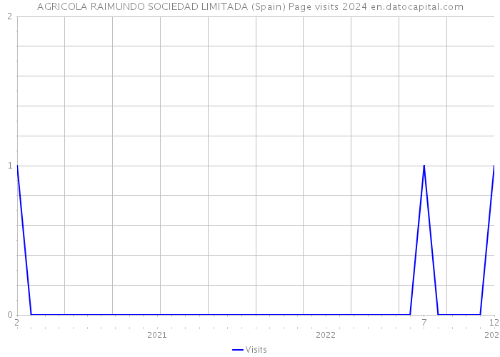 AGRICOLA RAIMUNDO SOCIEDAD LIMITADA (Spain) Page visits 2024 