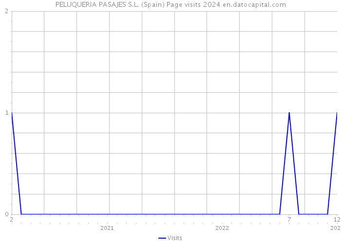 PELUQUERIA PASAJES S.L. (Spain) Page visits 2024 
