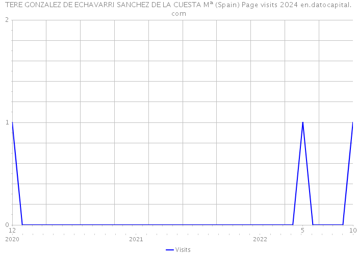 TERE GONZALEZ DE ECHAVARRI SANCHEZ DE LA CUESTA Mª (Spain) Page visits 2024 