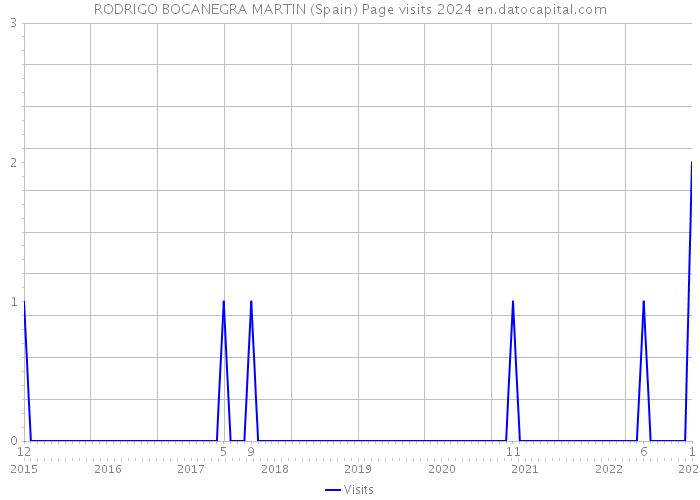 RODRIGO BOCANEGRA MARTIN (Spain) Page visits 2024 