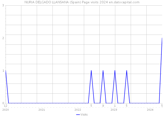 NURIA DELGADO LLANSANA (Spain) Page visits 2024 