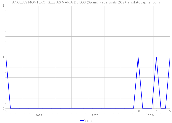 ANGELES MONTERO IGLESIAS MARIA DE LOS (Spain) Page visits 2024 