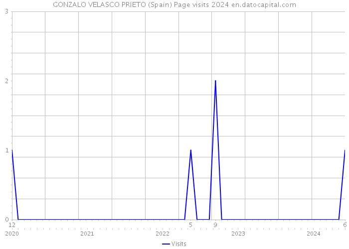 GONZALO VELASCO PRIETO (Spain) Page visits 2024 