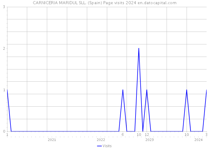 CARNICERIA MARIDUL SLL. (Spain) Page visits 2024 