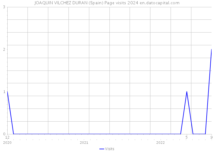 JOAQUIN VILCHEZ DURAN (Spain) Page visits 2024 