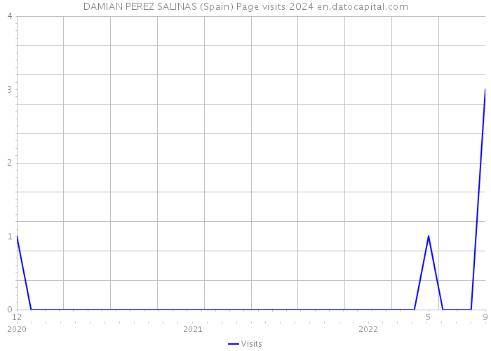 DAMIAN PEREZ SALINAS (Spain) Page visits 2024 