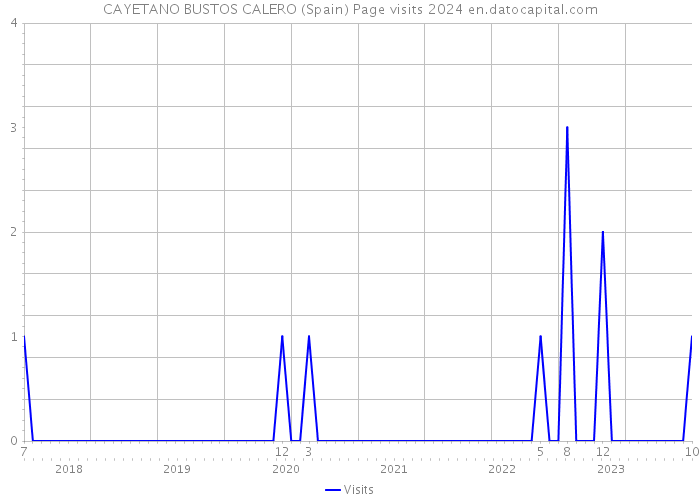 CAYETANO BUSTOS CALERO (Spain) Page visits 2024 