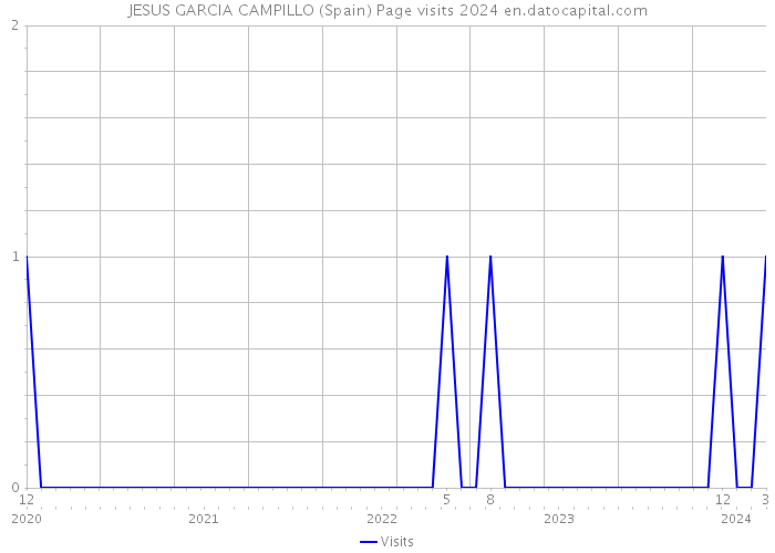 JESUS GARCIA CAMPILLO (Spain) Page visits 2024 