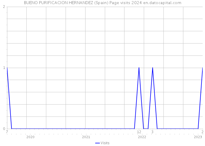 BUENO PURIFICACION HERNANDEZ (Spain) Page visits 2024 