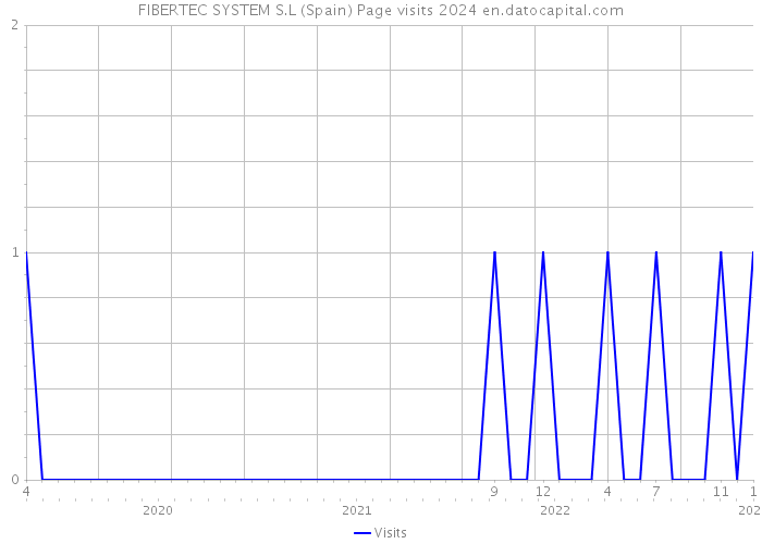 FIBERTEC SYSTEM S.L (Spain) Page visits 2024 