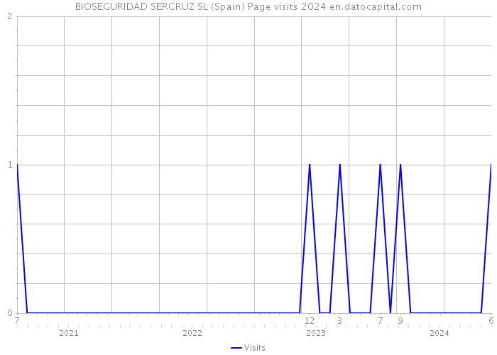 BIOSEGURIDAD SERCRUZ SL (Spain) Page visits 2024 