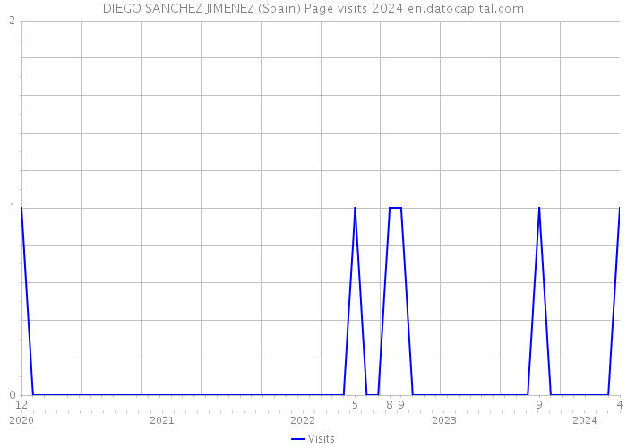 DIEGO SANCHEZ JIMENEZ (Spain) Page visits 2024 