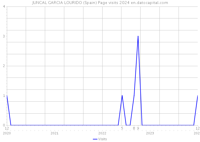 JUNCAL GARCIA LOURIDO (Spain) Page visits 2024 