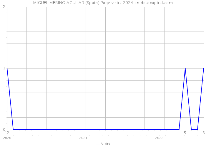 MIGUEL MERINO AGUILAR (Spain) Page visits 2024 