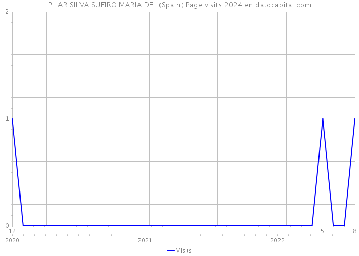 PILAR SILVA SUEIRO MARIA DEL (Spain) Page visits 2024 