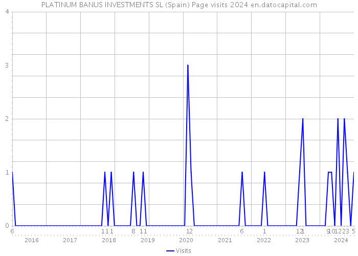 PLATINUM BANUS INVESTMENTS SL (Spain) Page visits 2024 