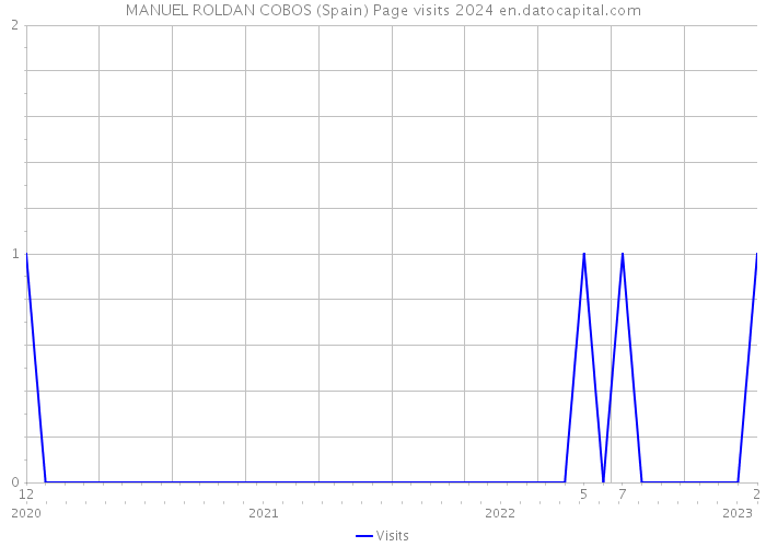 MANUEL ROLDAN COBOS (Spain) Page visits 2024 