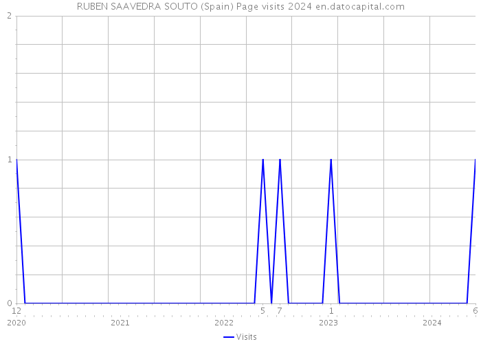 RUBEN SAAVEDRA SOUTO (Spain) Page visits 2024 