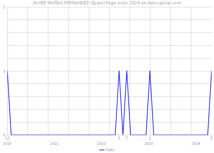 JAVIER MAÑAS FERNANDEZ (Spain) Page visits 2024 
