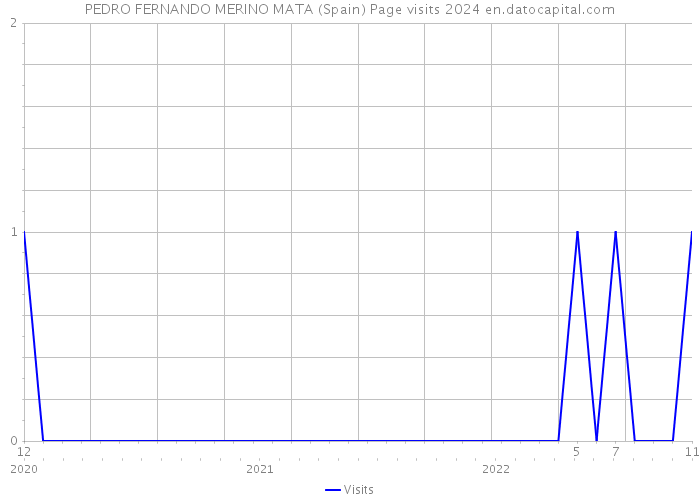 PEDRO FERNANDO MERINO MATA (Spain) Page visits 2024 