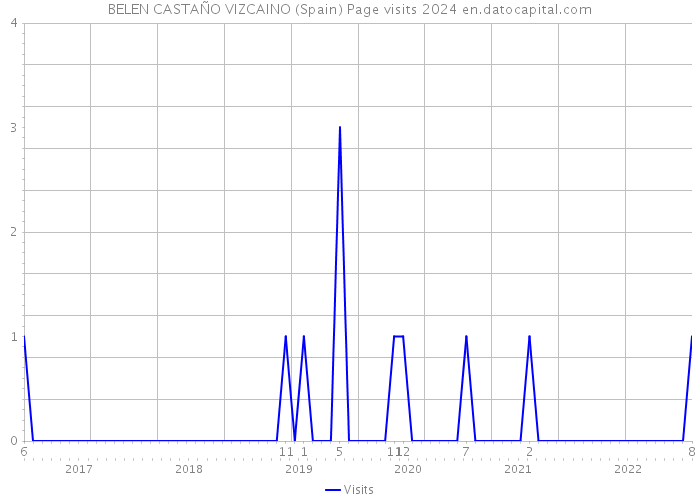 BELEN CASTAÑO VIZCAINO (Spain) Page visits 2024 