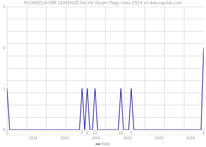 RICARDO JAVIER GONZALEZ SALVA (Spain) Page visits 2024 