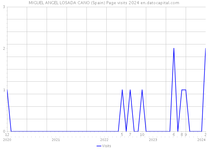MIGUEL ANGEL LOSADA CANO (Spain) Page visits 2024 