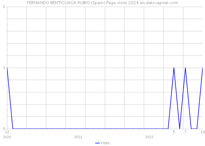 FERNANDO BENTICUAGA RUBIO (Spain) Page visits 2024 