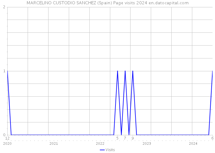 MARCELINO CUSTODIO SANCHEZ (Spain) Page visits 2024 