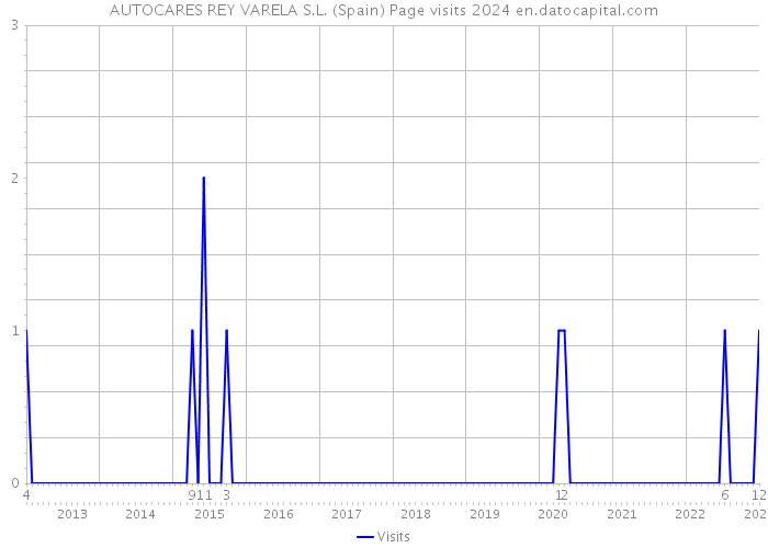 AUTOCARES REY VARELA S.L. (Spain) Page visits 2024 