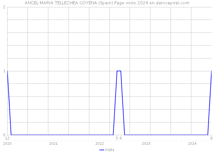 ANGEL MARIA TELLECHEA GOYENA (Spain) Page visits 2024 