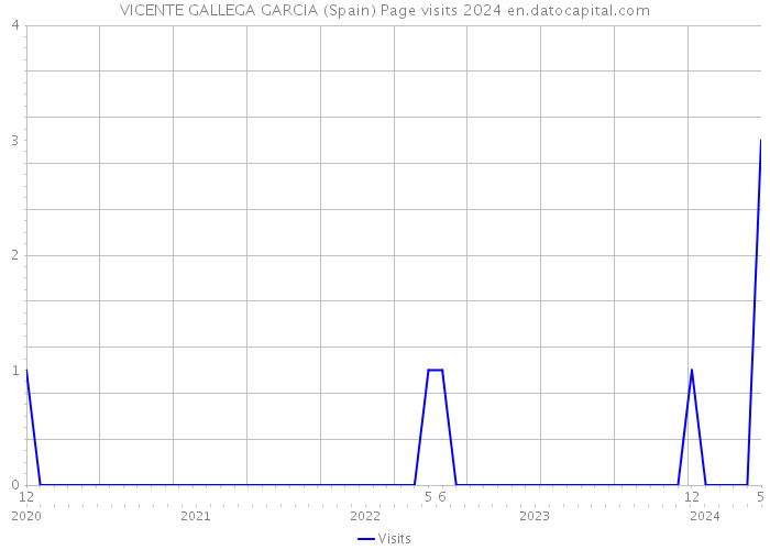 VICENTE GALLEGA GARCIA (Spain) Page visits 2024 