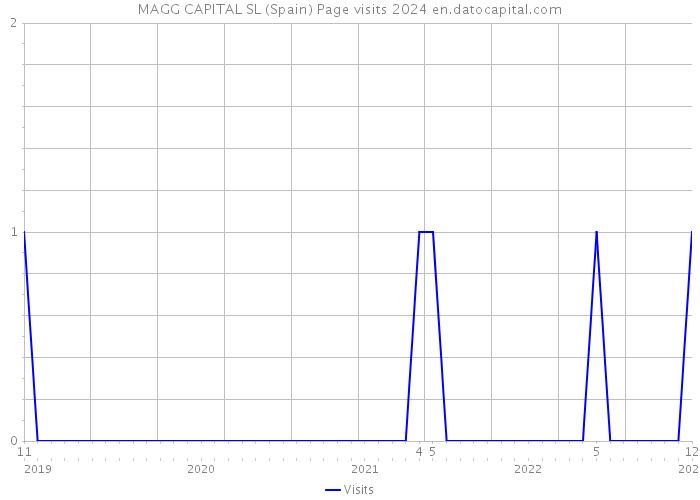 MAGG CAPITAL SL (Spain) Page visits 2024 