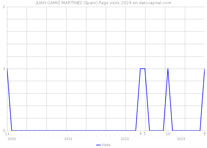 JUAN GAMIZ MARTINEZ (Spain) Page visits 2024 