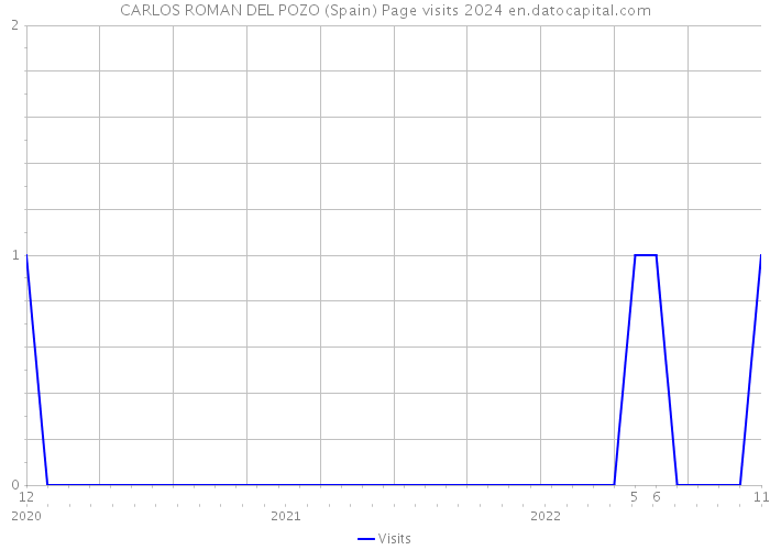 CARLOS ROMAN DEL POZO (Spain) Page visits 2024 