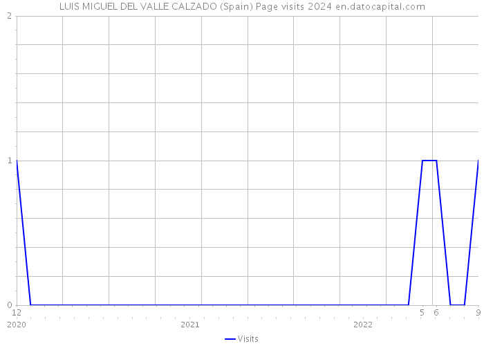 LUIS MIGUEL DEL VALLE CALZADO (Spain) Page visits 2024 