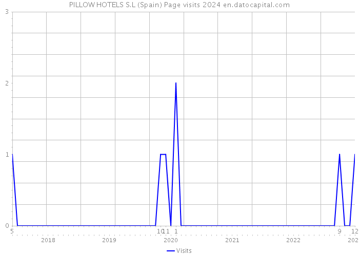 PILLOW HOTELS S.L (Spain) Page visits 2024 