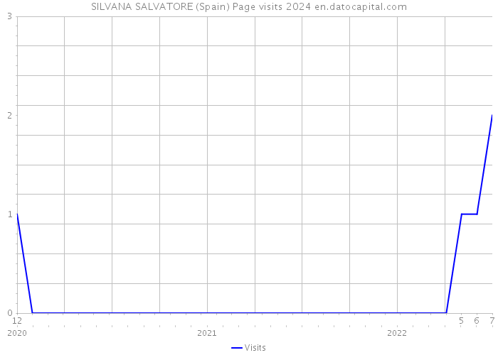 SILVANA SALVATORE (Spain) Page visits 2024 