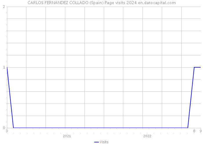 CARLOS FERNANDEZ COLLADO (Spain) Page visits 2024 